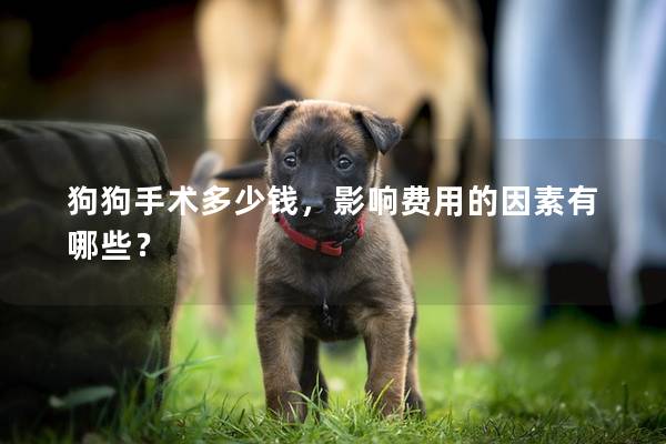 狗狗手术多少钱，影响费用的因素有哪些？