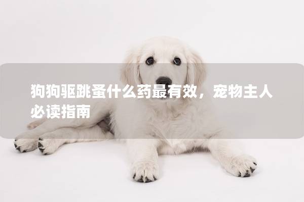狗狗驱跳蚤什么药最有效，宠物主人必读指南