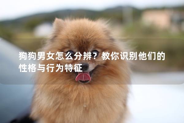 狗狗男女怎么分辨？教你识别他们的性格与行为特征