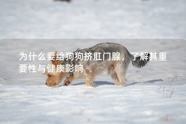为什么要给狗狗挤肛门腺，了解其重要性与健康影响