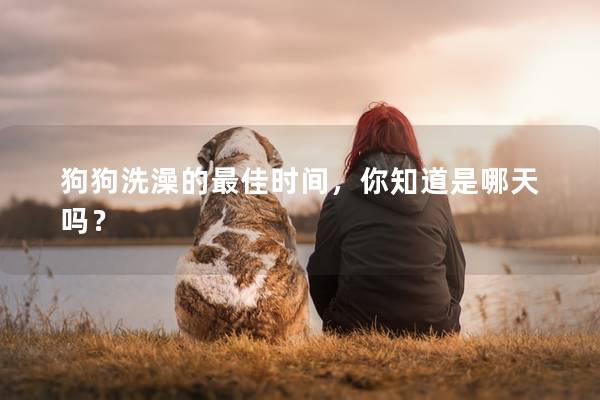 狗狗洗澡的最佳时间，你知道是哪天吗？