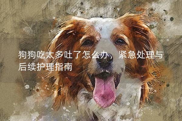 狗狗吃太多吐了怎么办，紧急处理与后续护理指南