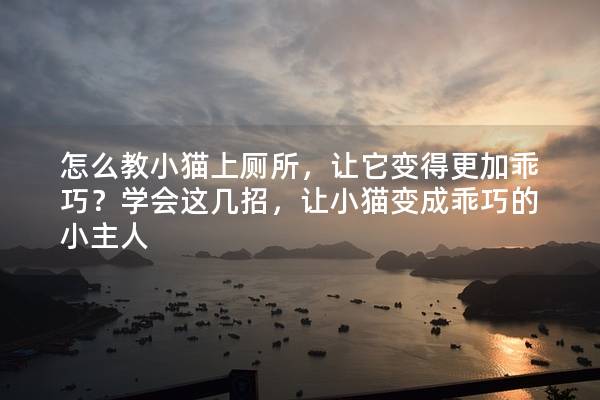 怎么教小猫上厕所，让它变得更加乖巧？学会这几招，让小猫变成乖巧的小主人