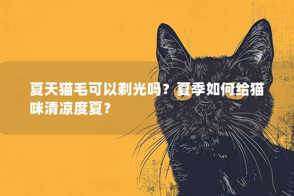 夏天猫毛可以剃光吗？夏季如何给猫咪清凉度夏？