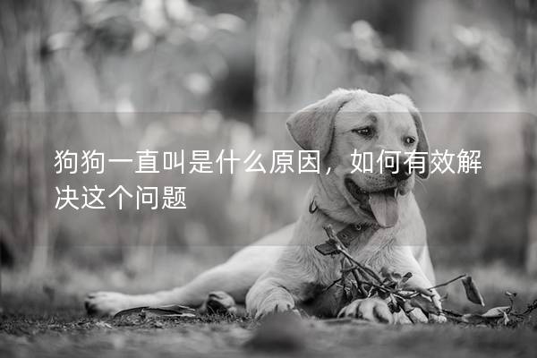 狗狗一直叫是什么原因，如何有效解决这个问题