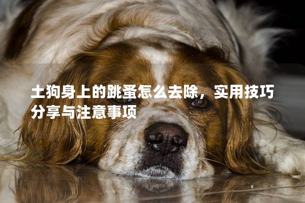 土狗身上的跳蚤怎么去除，实用技巧分享与注意事项