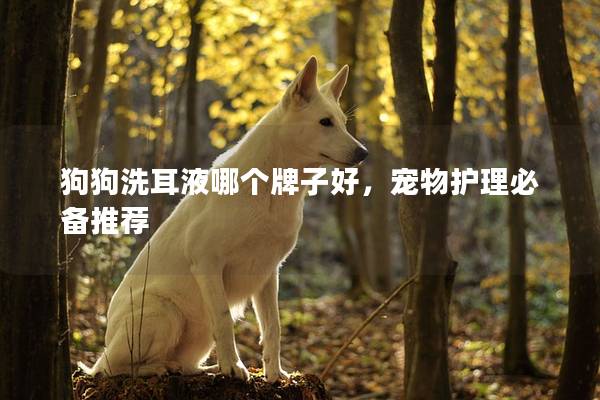 狗狗洗耳液哪个牌子好，宠物护理必备推荐