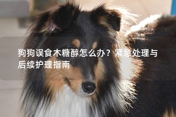 狗狗误食木糖醇怎么办？紧急处理与后续护理指南