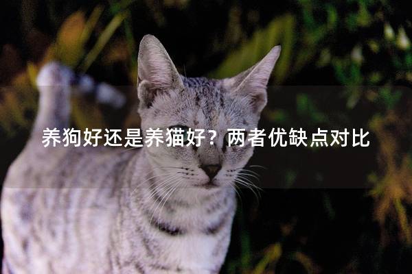 养狗好还是养猫好？两者优缺点对比