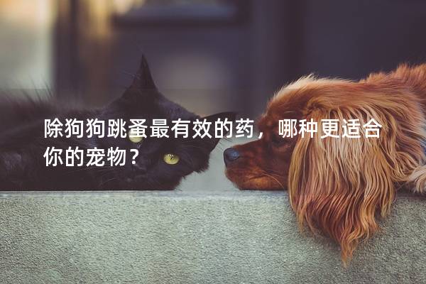 除狗狗跳蚤最有效的药，哪种更适合你的宠物？