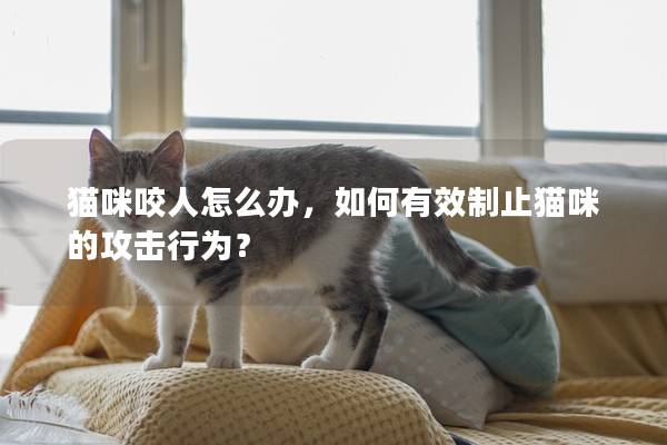 猫咪咬人怎么办，如何有效制止猫咪的攻击行为？