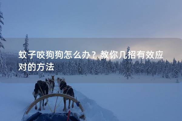 蚊子咬狗狗怎么办？教你几招有效应对的方法
