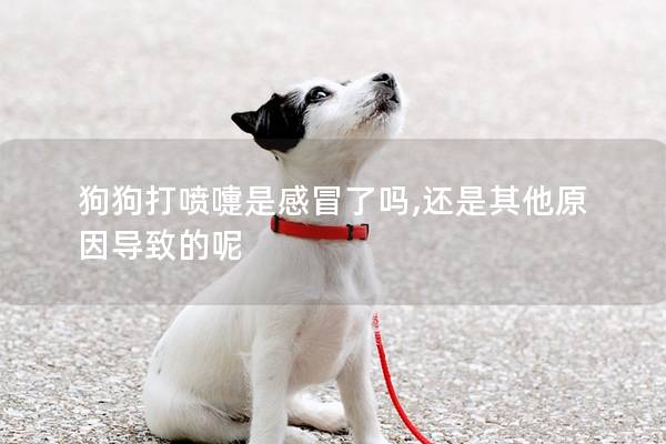 狗狗打喷嚏是感冒了吗,还是其他原因导致的呢