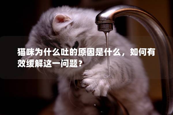 猫咪为什么吐的原因是什么，如何有效缓解这一问题？