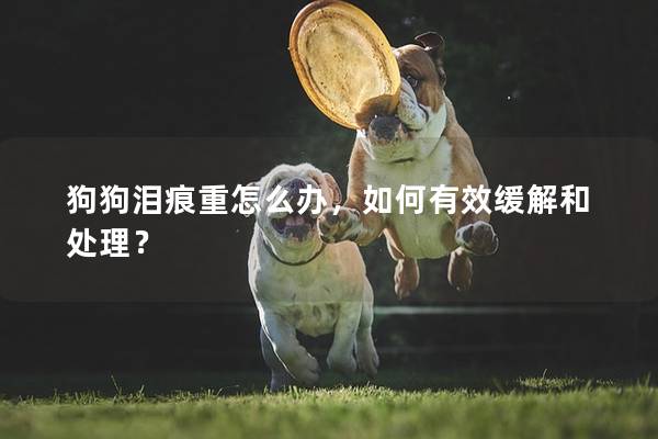 狗狗泪痕重怎么办，如何有效缓解和处理？