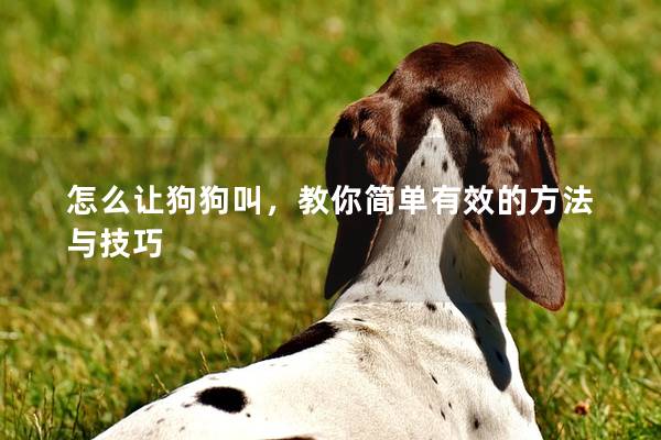 怎么让狗狗叫，教你简单有效的方法与技巧