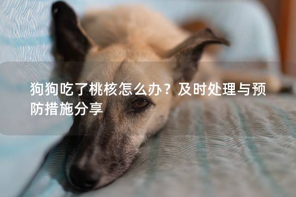 狗狗吃了桃核怎么办？及时处理与预防措施分享