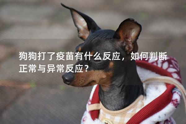 狗狗打了疫苗有什么反应，如何判断正常与异常反应？