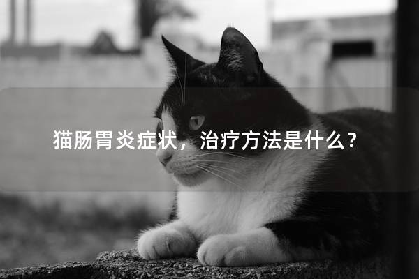 猫肠胃炎症状，治疗方法是什么？