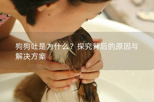 狗狗吐是为什么？探究背后的原因与解决方案