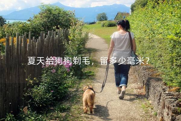 夏天给狗狗剃毛，留多少毫米？