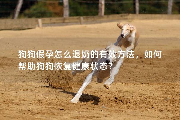 狗狗假孕怎么退奶的有效方法，如何帮助狗狗恢复健康状态？