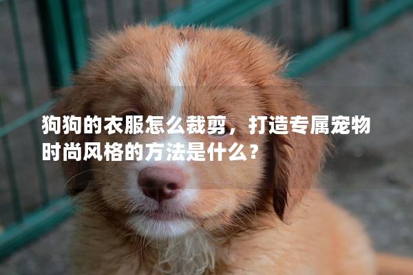 狗狗的衣服怎么裁剪，打造专属宠物时尚风格的方法是什么？