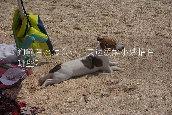 狗狗有痰怎么办，快速缓解小妙招有哪些？