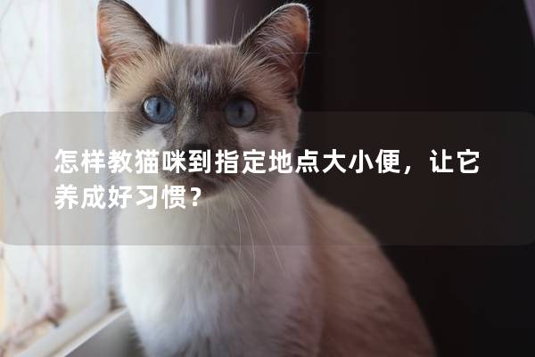 怎样教猫咪到指定地点大小便，让它养成好习惯？