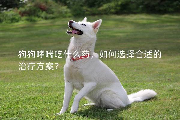狗狗哮喘吃什么药，如何选择合适的治疗方案？