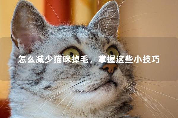 怎么减少猫咪掉毛，掌握这些小技巧