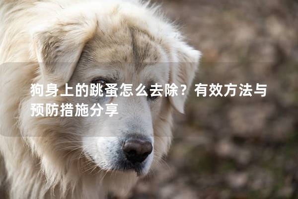 狗身上的跳蚤怎么去除？有效方法与预防措施分享