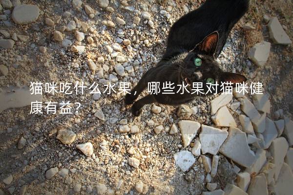 猫咪吃什么水果，哪些水果对猫咪健康有益？