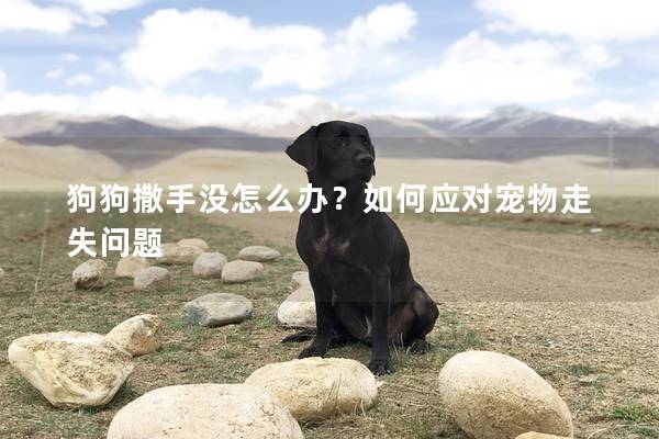 狗狗撒手没怎么办？如何应对宠物走失问题