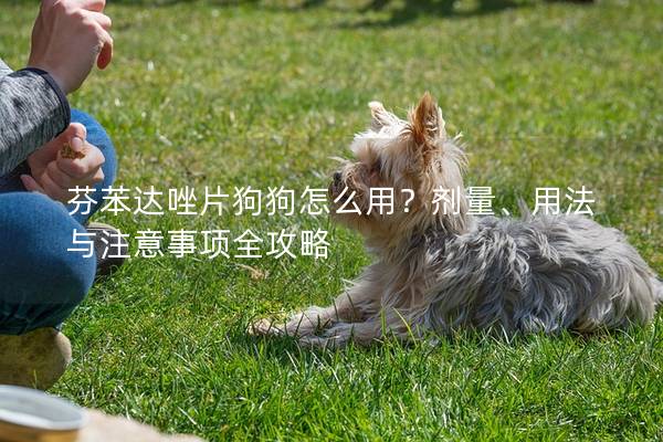 芬苯达唑片狗狗怎么用？剂量、用法与注意事项全攻略