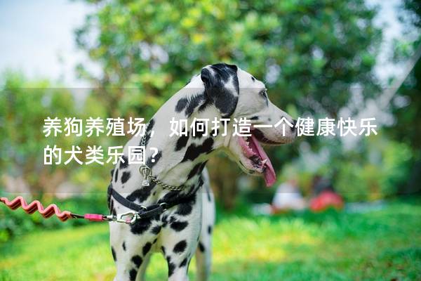 养狗养殖场，如何打造一个健康快乐的犬类乐园？