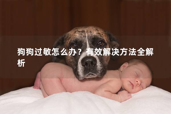 狗狗过敏怎么办？有效解决方法全解析