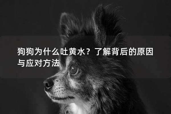 狗狗为什么吐黄水？了解背后的原因与应对方法