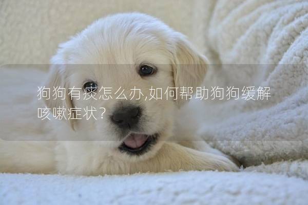 狗狗有痰怎么办,如何帮助狗狗缓解咳嗽症状？