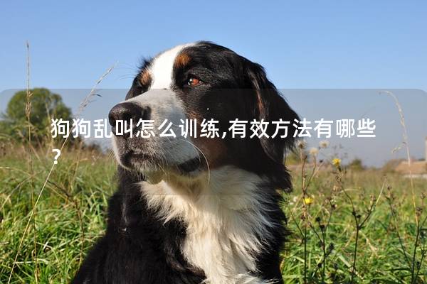 狗狗乱叫怎么训练,有效方法有哪些？