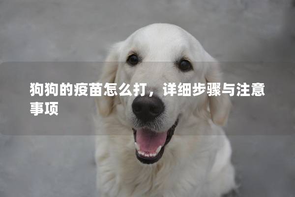 狗狗的疫苗怎么打，详细步骤与注意事项