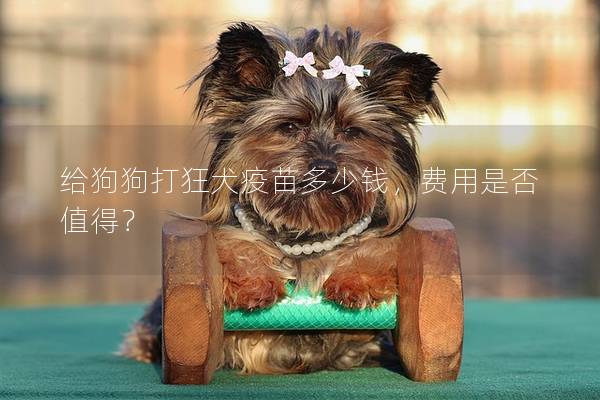 给狗狗打狂犬疫苗多少钱，费用是否值得？