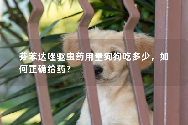 芬苯达唑驱虫药用量狗狗吃多少，如何正确给药？