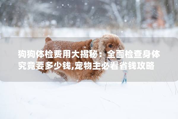 狗狗体检费用大揭秘：全面检查身体究竟要多少钱,宠物主必看省钱攻略