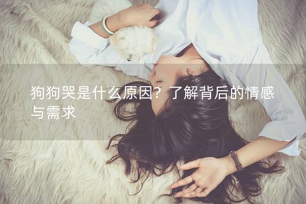 狗狗哭是什么原因？了解背后的情感与需求