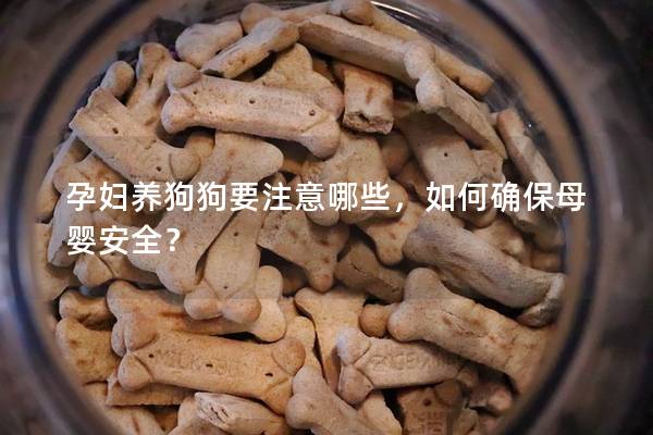 孕妇养狗狗要注意哪些，如何确保母婴安全？
