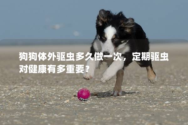 狗狗体外驱虫多久做一次，定期驱虫对健康有多重要？