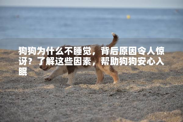 狗狗为什么不睡觉，背后原因令人惊讶？了解这些因素，帮助狗狗安心入眠