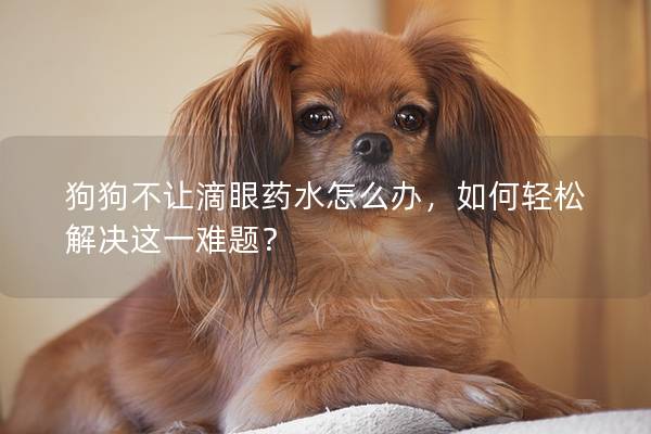 狗狗不让滴眼药水怎么办，如何轻松解决这一难题？