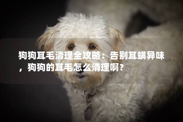 狗狗耳毛清理全攻略：告别耳螨异味，狗狗的耳毛怎么清理啊？